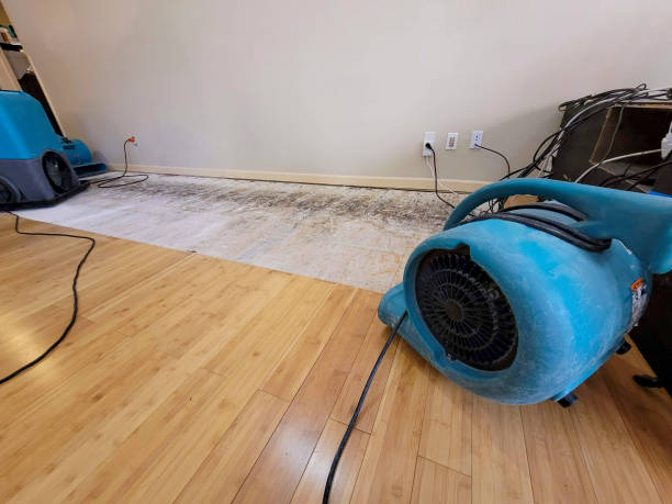 Professional Structural Drying technician working in Beggs, OK